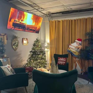 Cozy room with fire on tv and tree in corner