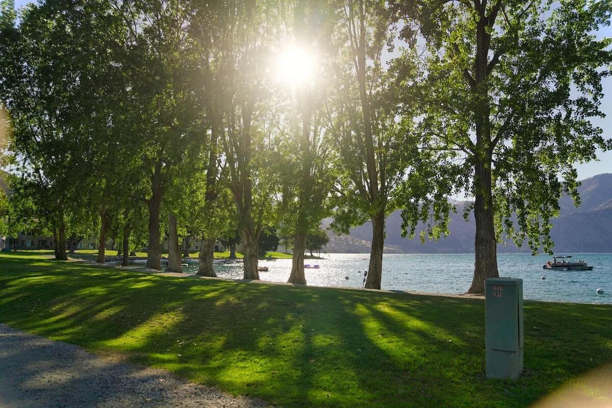 sun shining through trees with lake in background