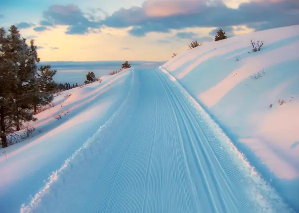 Groomed cross-country trails